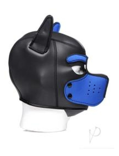 Ms Spike Puppy Hood Blue