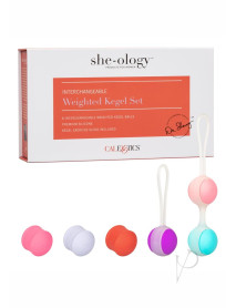 She Ology Interchange Weight Kegel Set