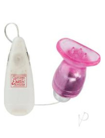 Pussy Pleaser Ms Vibration