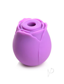 Gossip Rose Flirt Purple