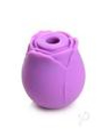 Gossip Rose Flirt Purple