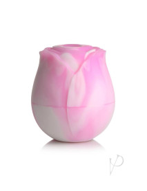 Gossip Rose Dream Pink/white