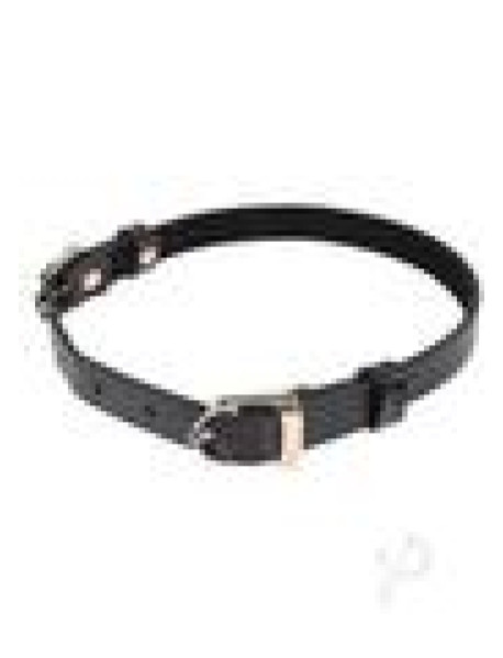 Sandm Double Buckledaycollarblk/gld(disc)