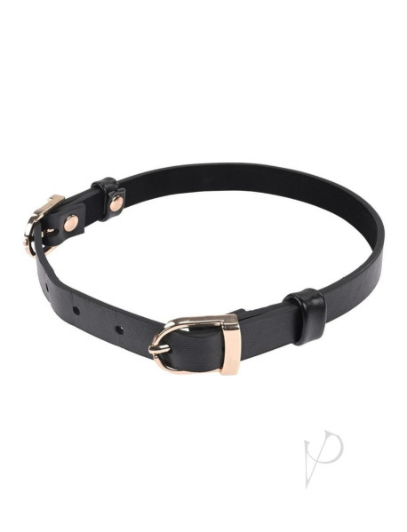 Sandm Double Buckledaycollarblk/gld(disc)