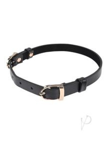 Sandm Double Buckledaycollarblk/gld(disc)