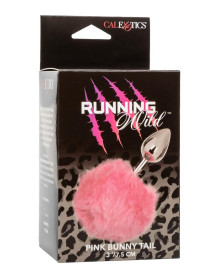 Running Wild Pink Bunny