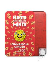 Flintts Mints Cinnamon