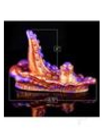 Alien Nation Copperhead