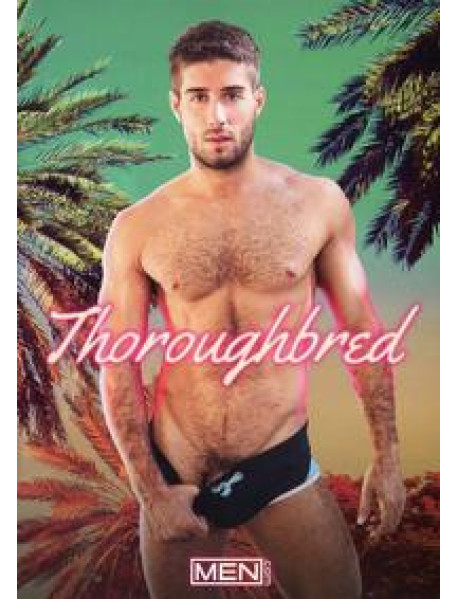 Thoroughbred
