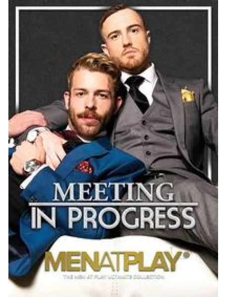 Meeting In Progress