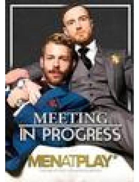 Meeting In Progress