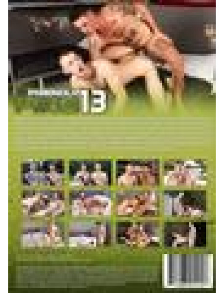 Friendly Fire 13