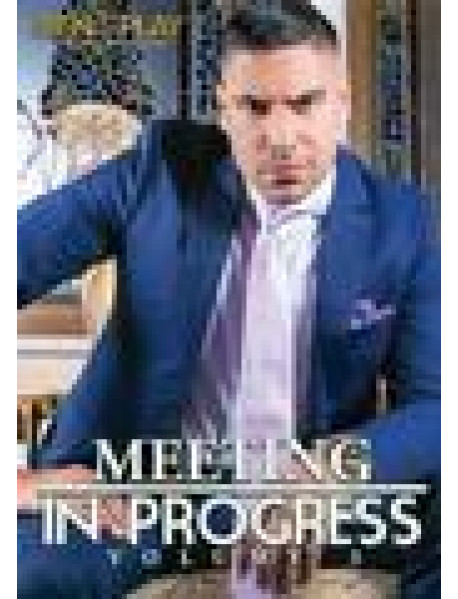 Meeting In Progress 03