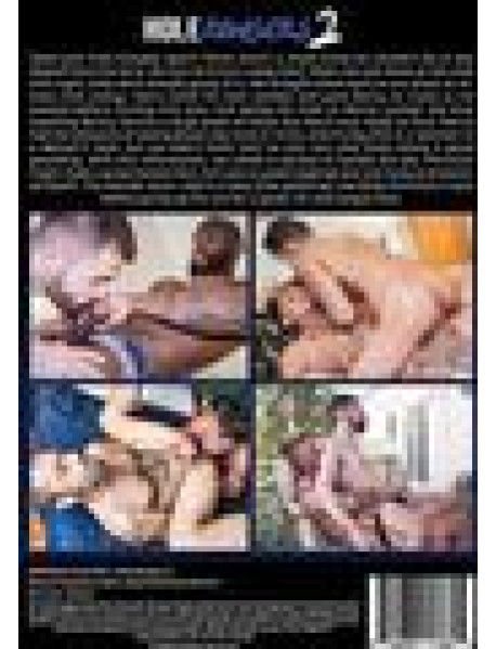 DVD HOLE BANGERS 02