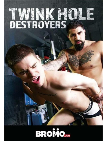 DVD DAVID HOLLISTER - TWINK ASS DESTROYER {DD}