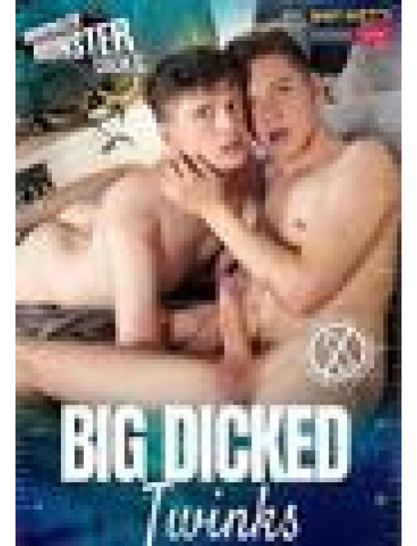 DVD BIG DICKED TWINKS