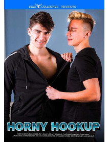 DVD HORNY HOOKUP