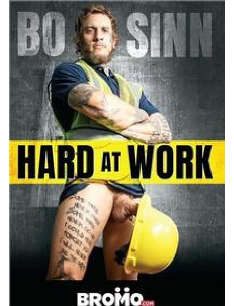 DVD BO SINN HARD AT WORK