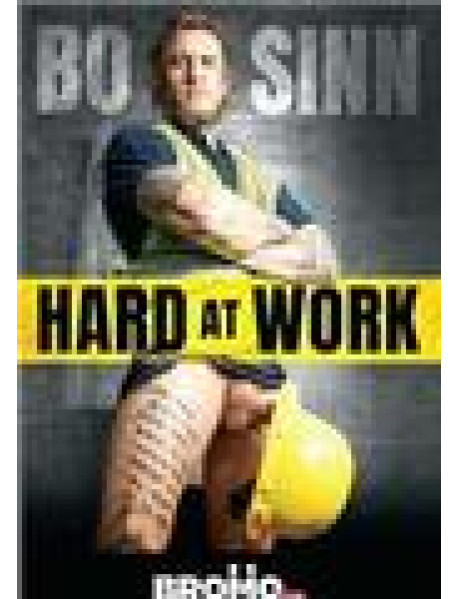 DVD BO SINN HARD AT WORK