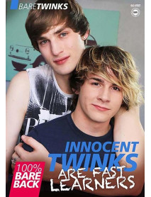 DVD INNOCENT TWINKS ARE FAST LEARNERS