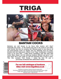 Bantam Cocks