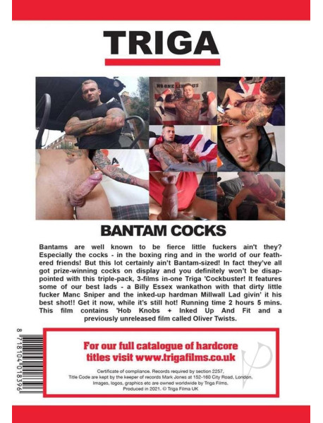 Bantam Cocks