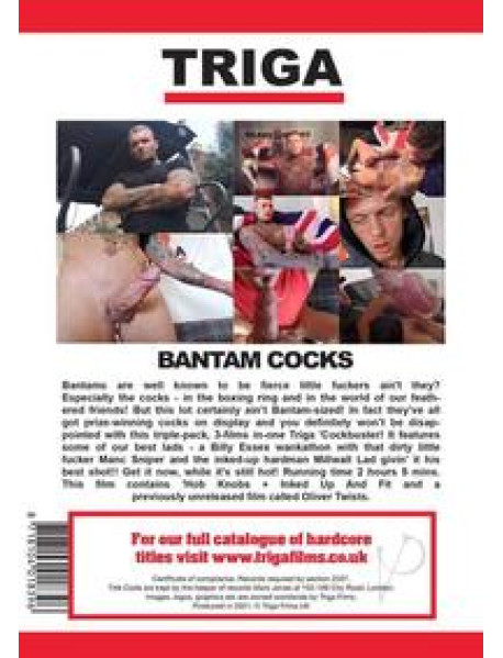 Bantam Cocks