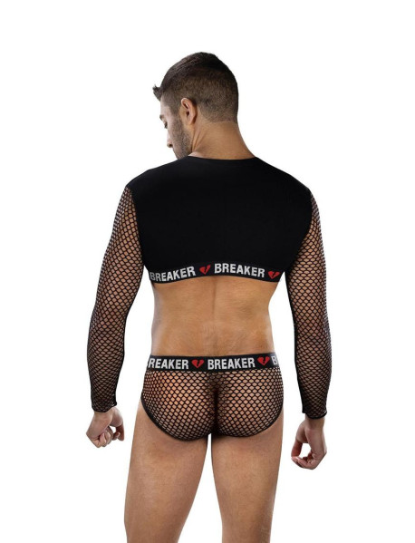 HEARTBREAKER MESH CROP TOP and BRIEFS SET