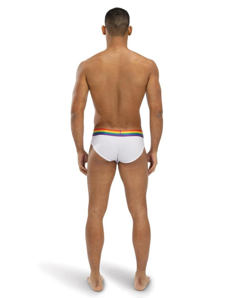 ENVY RAINBOW RADIANT LXL ENVY RAINBOW RADIANT LXL